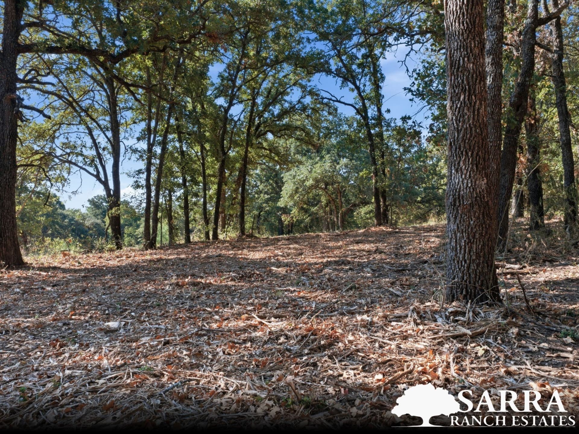 2 acres in Parker County - photo 6