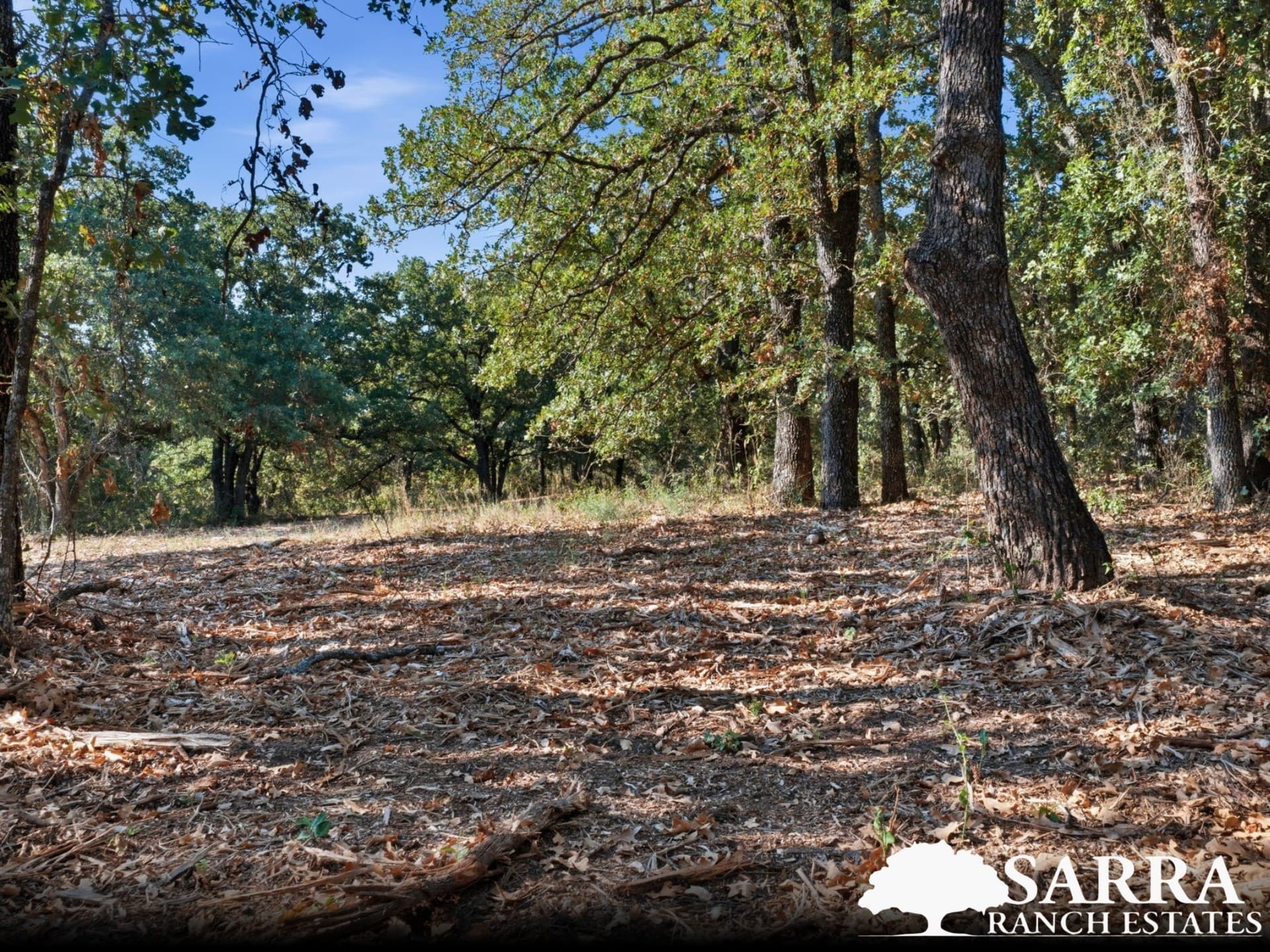 2 acres in Parker County - photo 5