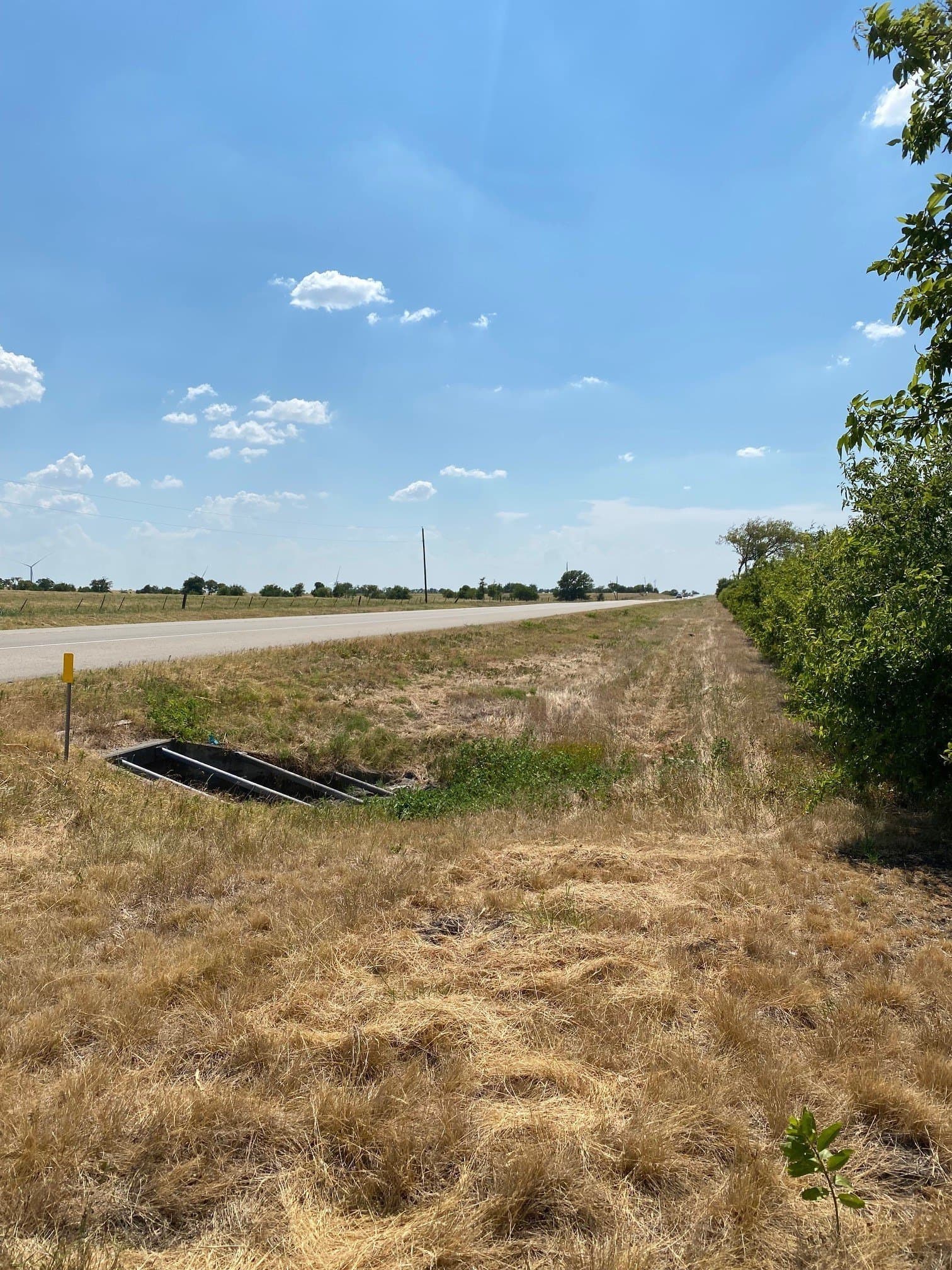 156.75 acres in Limestone County - photo 3
