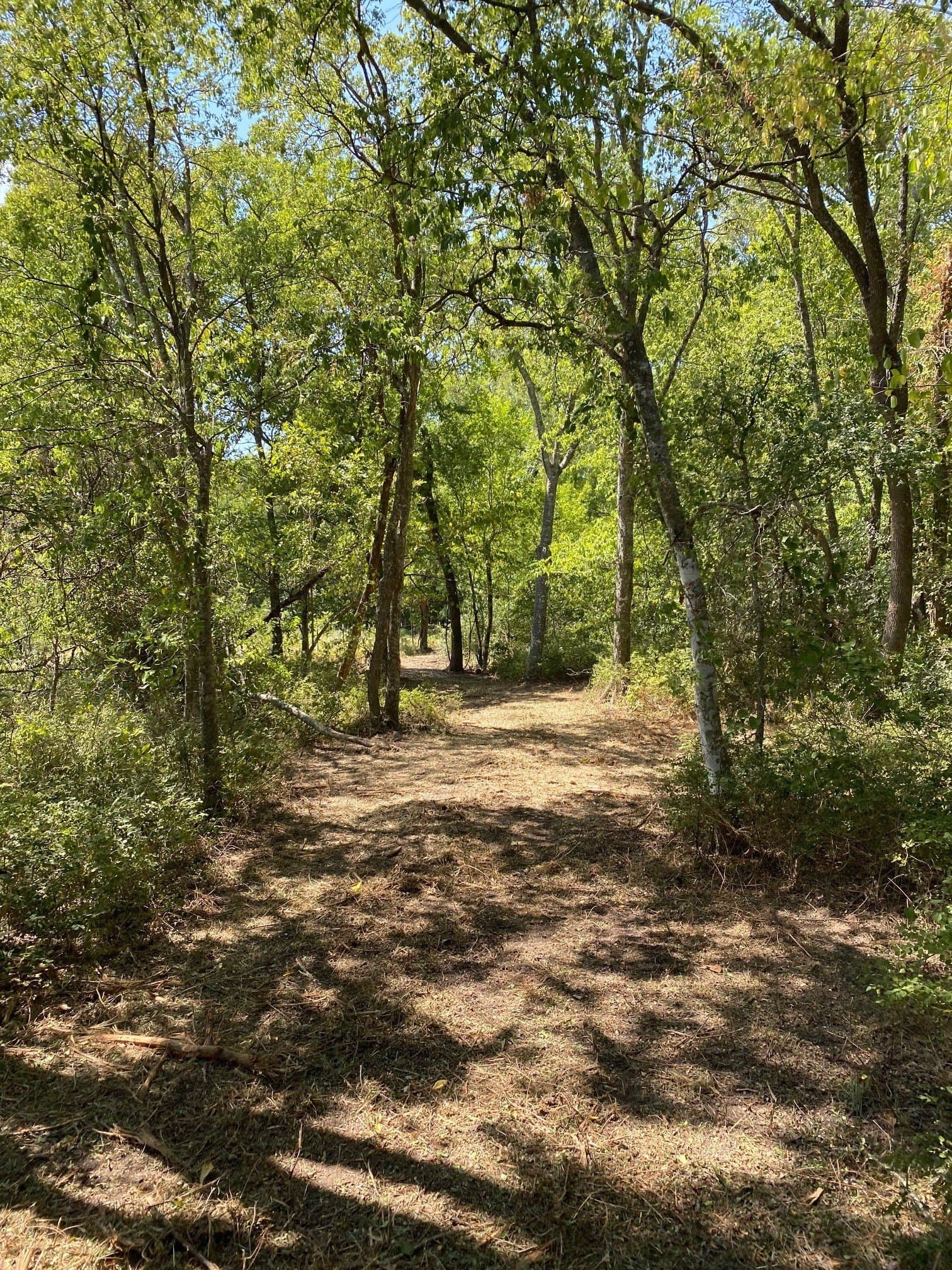 156.75 acres in Limestone County - photo 33