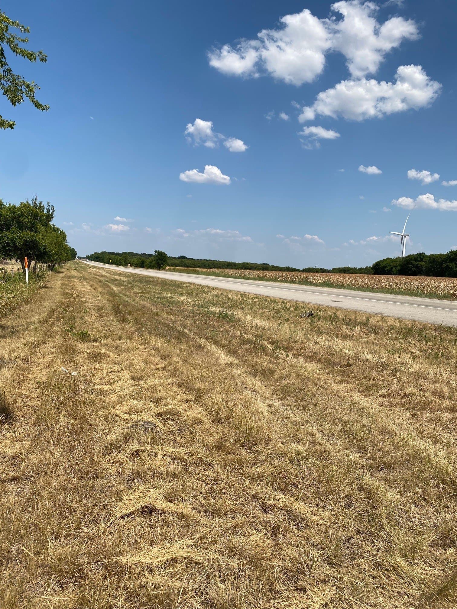 156.75 acres in Limestone County - photo 2