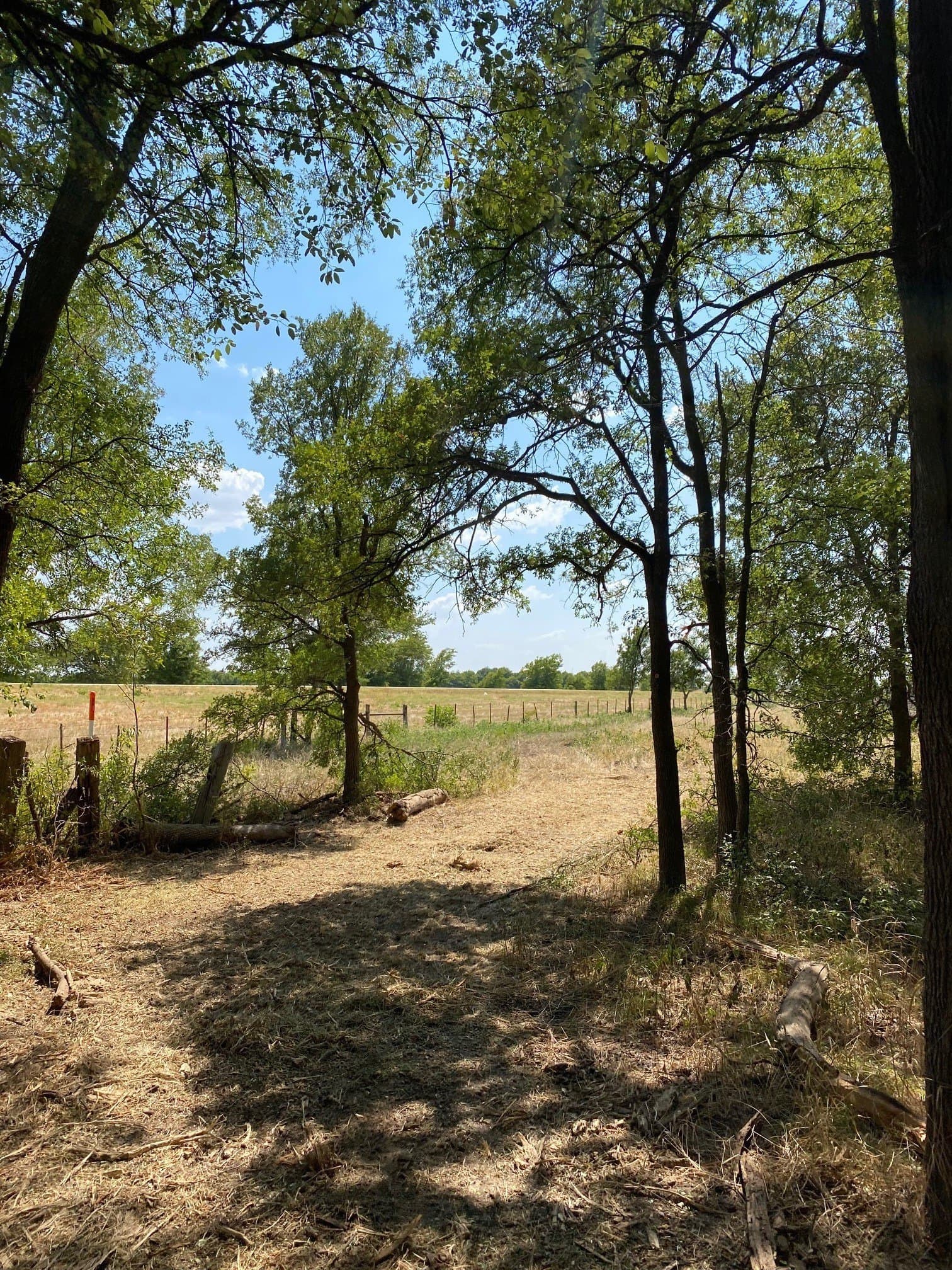 156.75 acres in Limestone County - photo 15