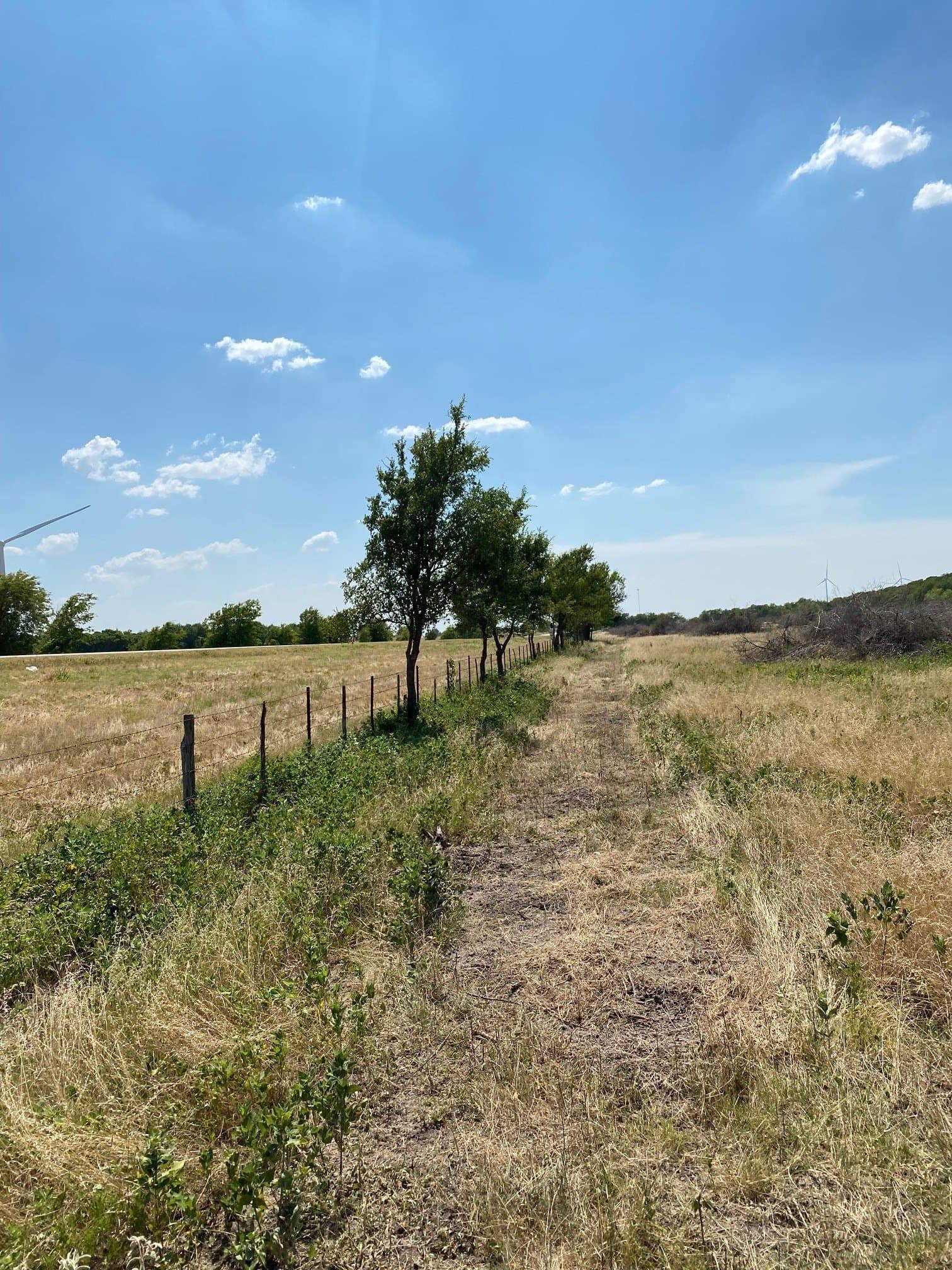 156.75 acres in Limestone County - photo 18