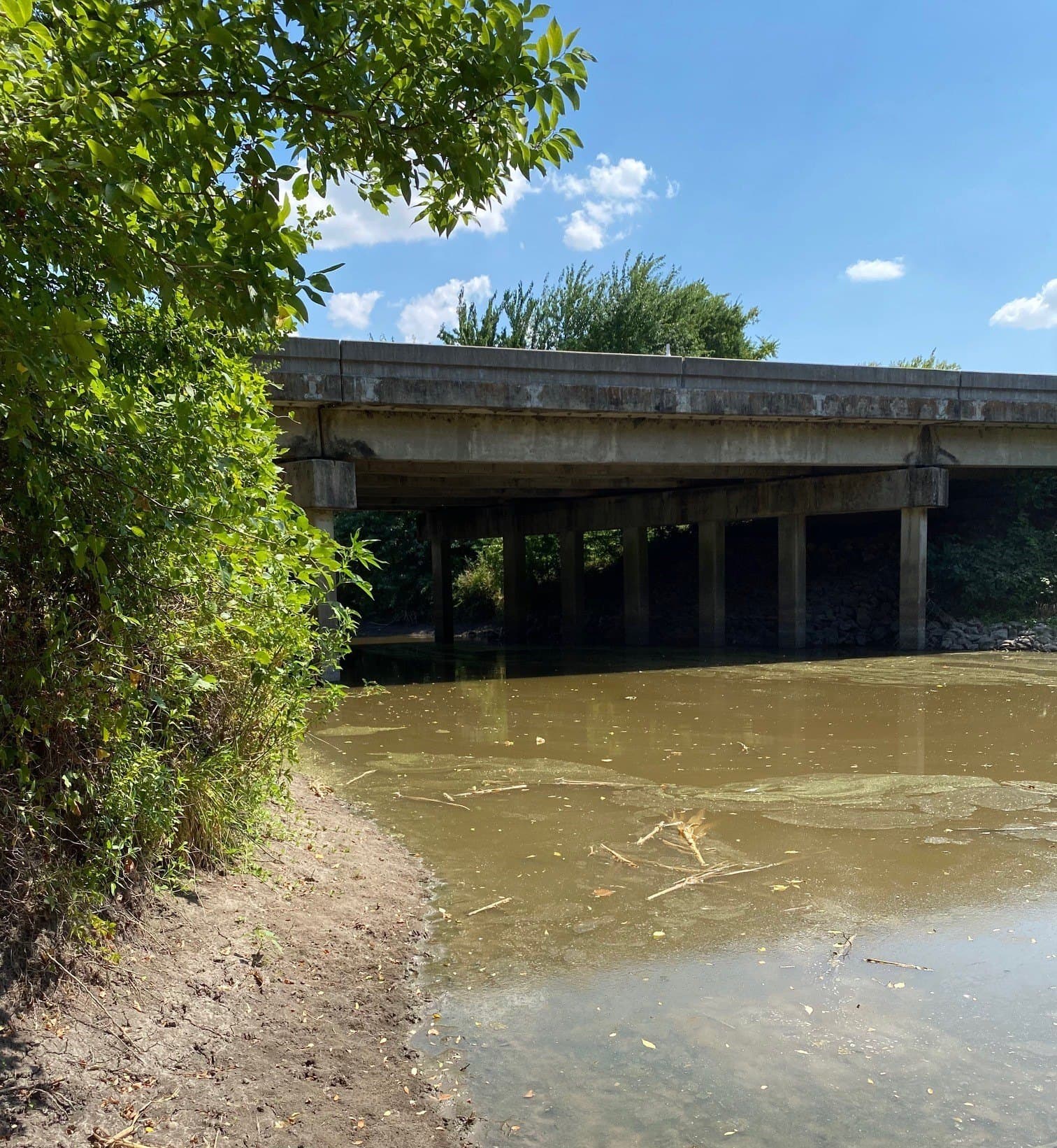156.75 acres in Limestone County - photo 35