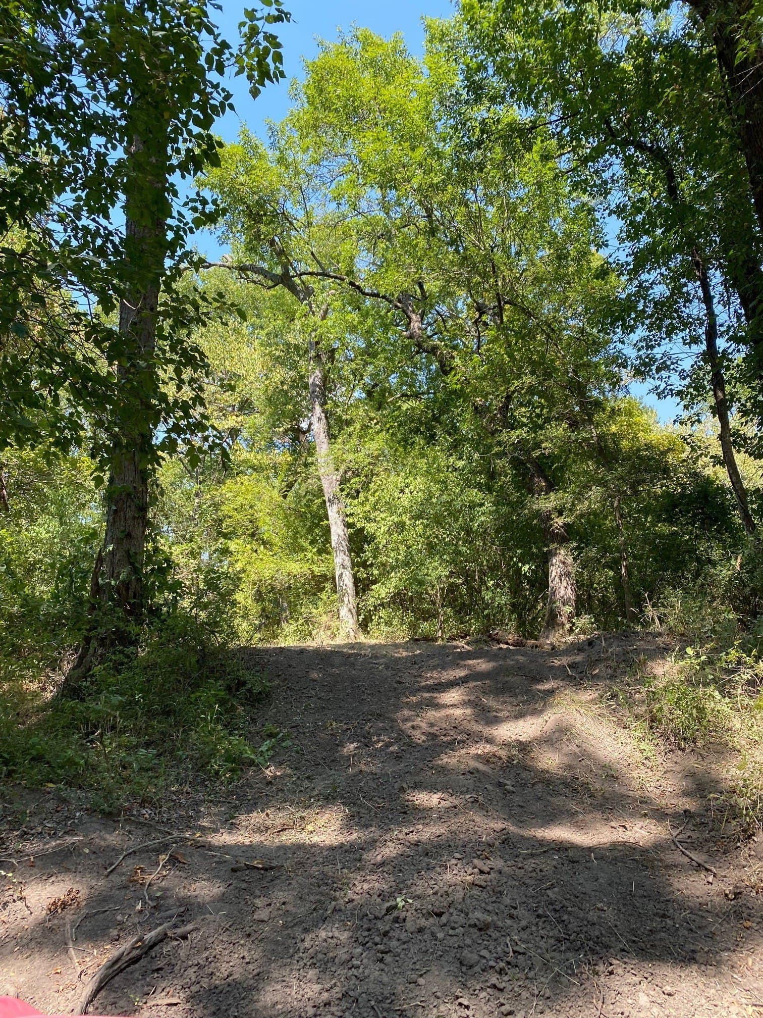 156.75 acres in Limestone County - photo 21