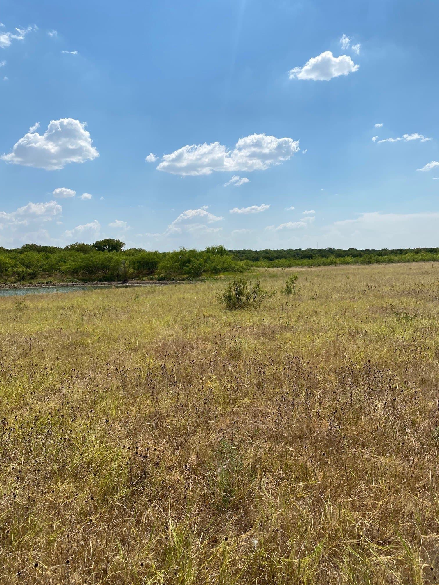 156.75 acres in Limestone County - photo 30