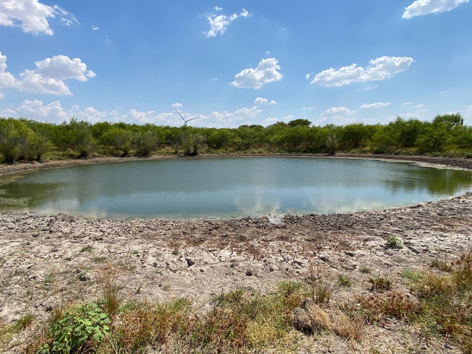 156.75 acres in Limestone County - photo 27