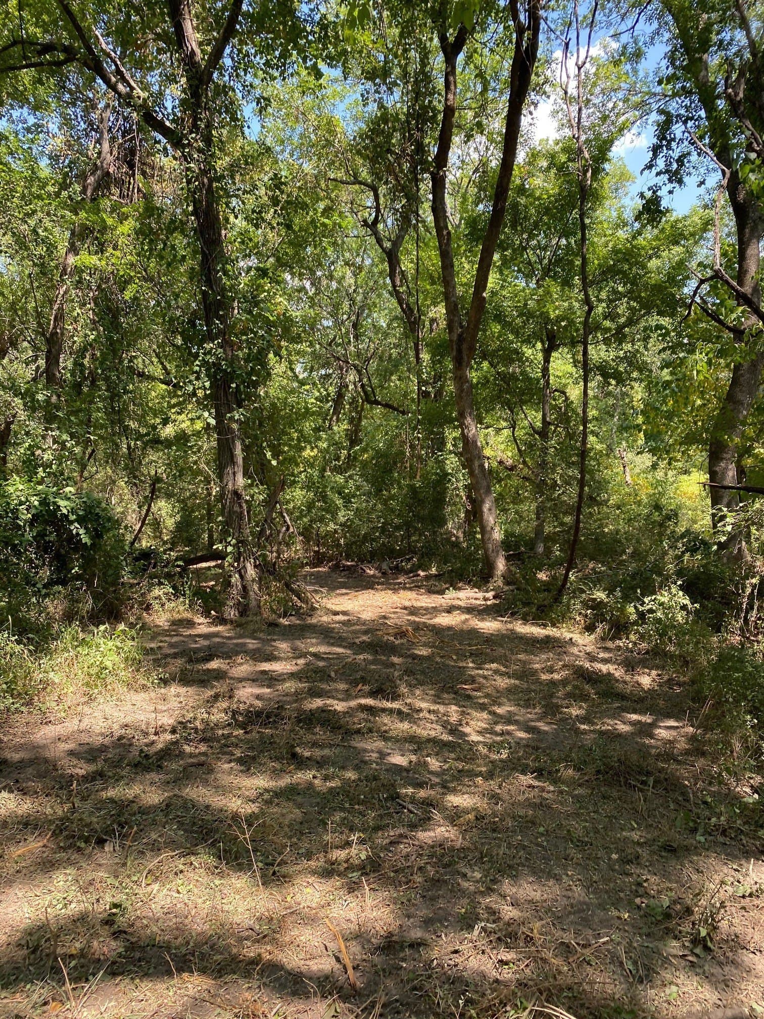156.75 acres in Limestone County - photo 32