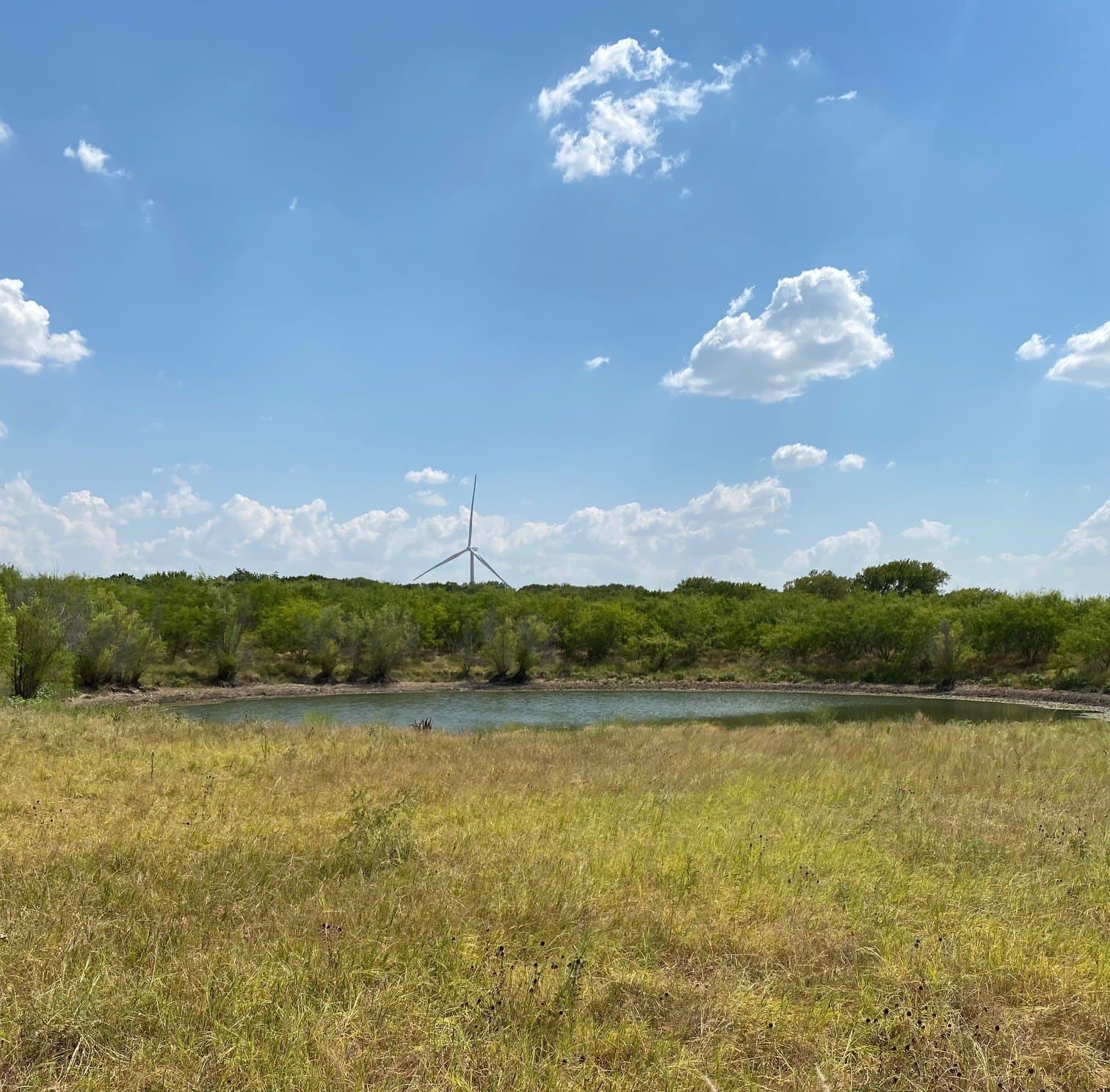 156.75 acres in Limestone County - photo 26