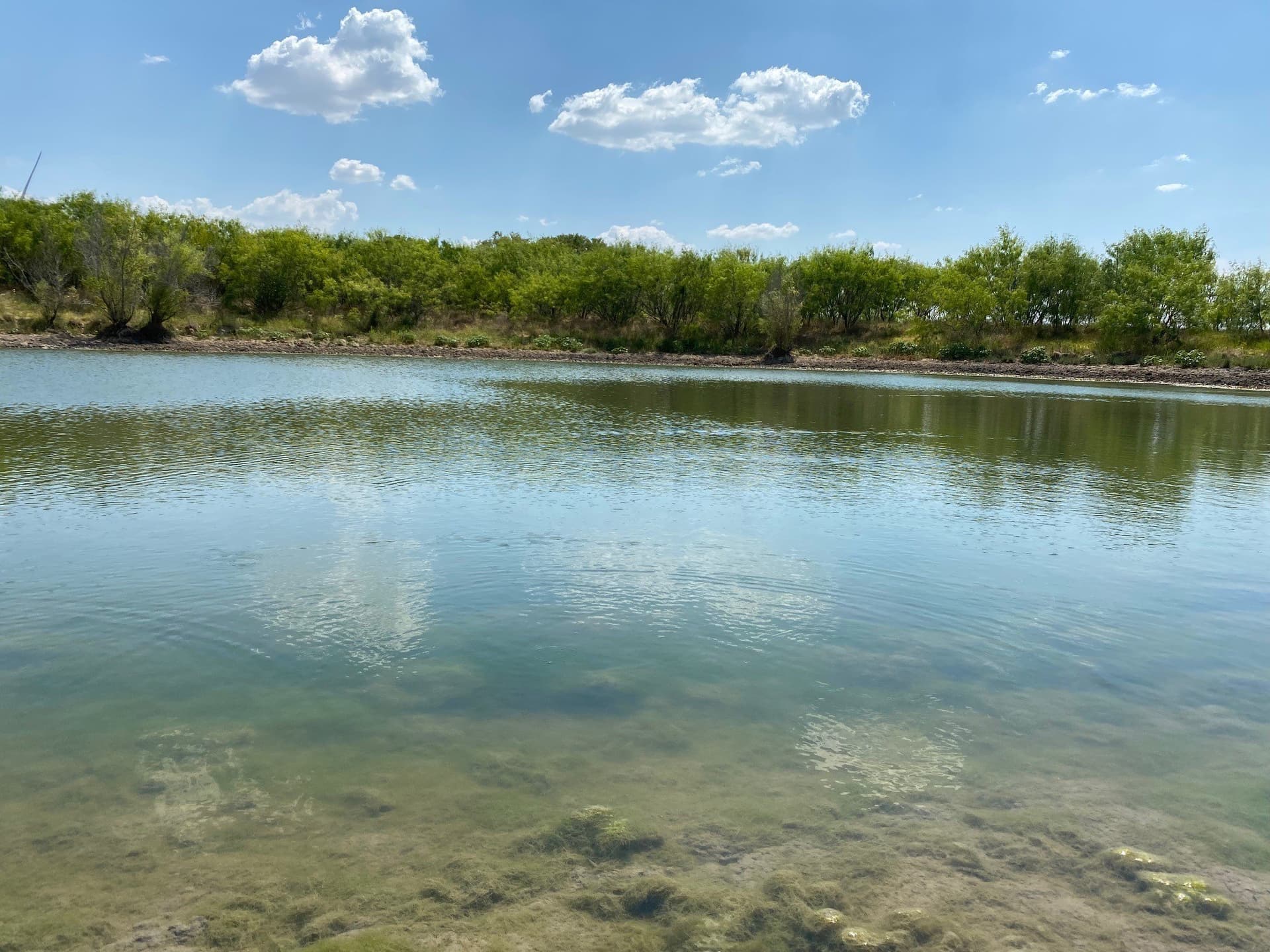 156.75 acres in Limestone County