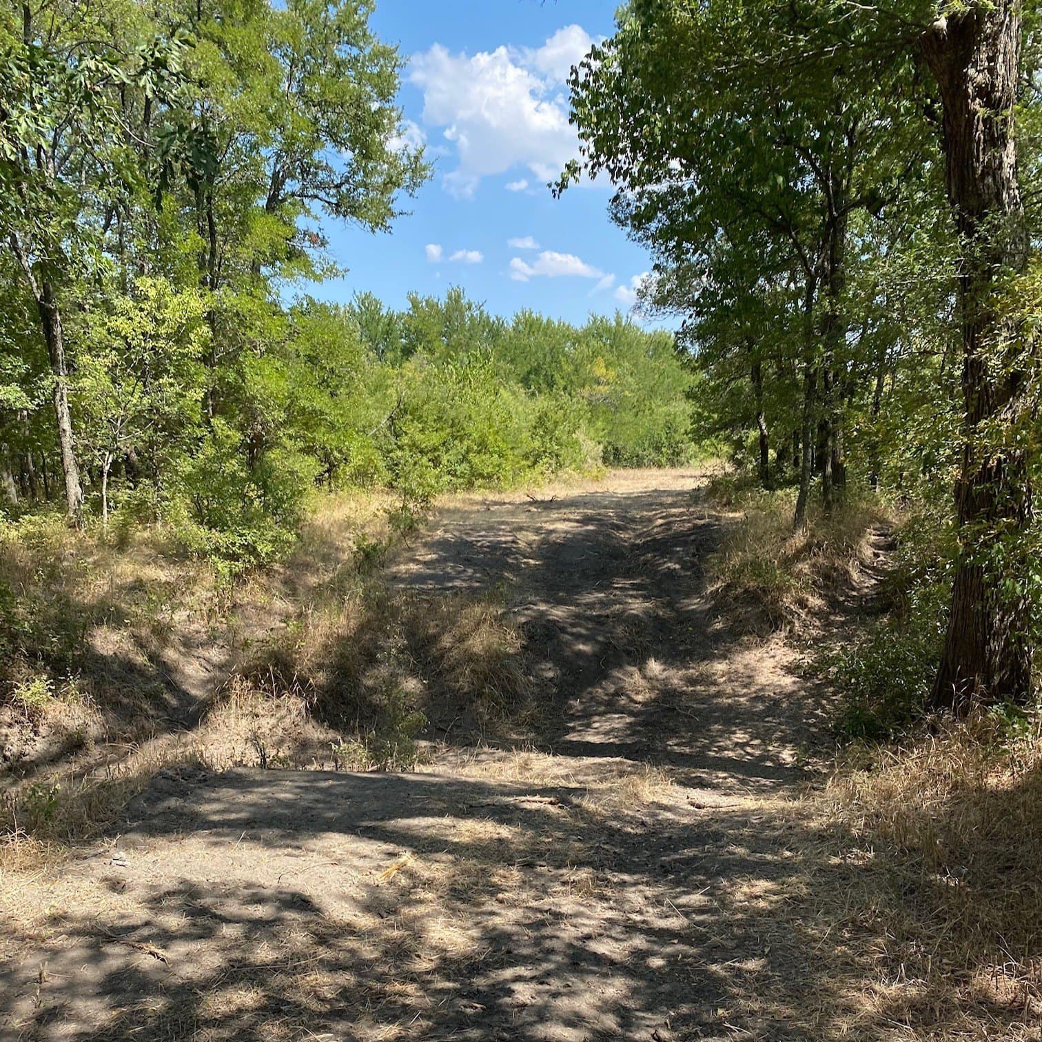 156.75 acres in Limestone County - photo 9