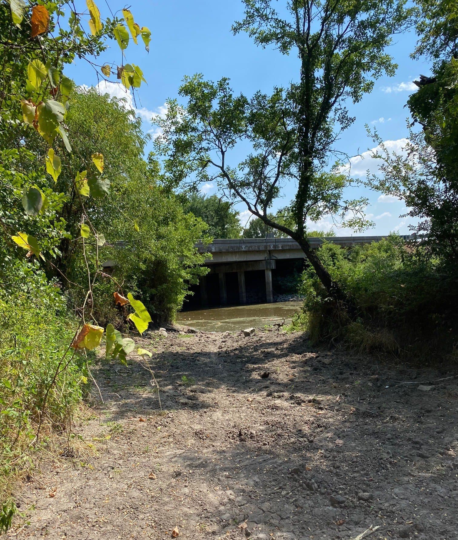 156.75 acres in Limestone County - photo 34