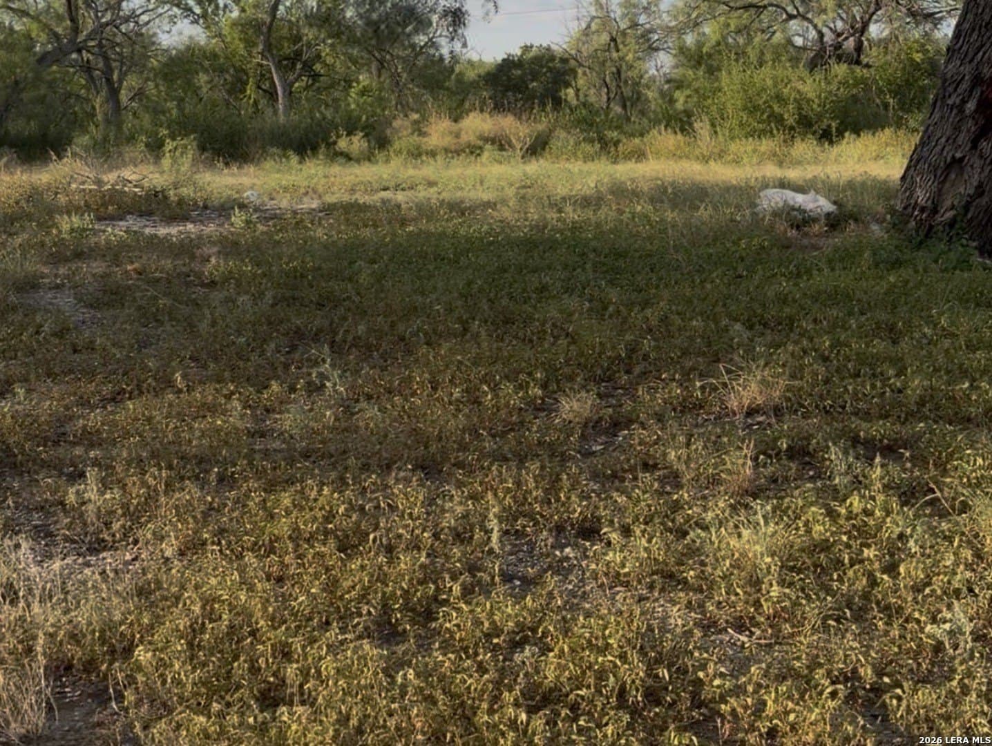 0.17 acres in Bexar County - photo 4