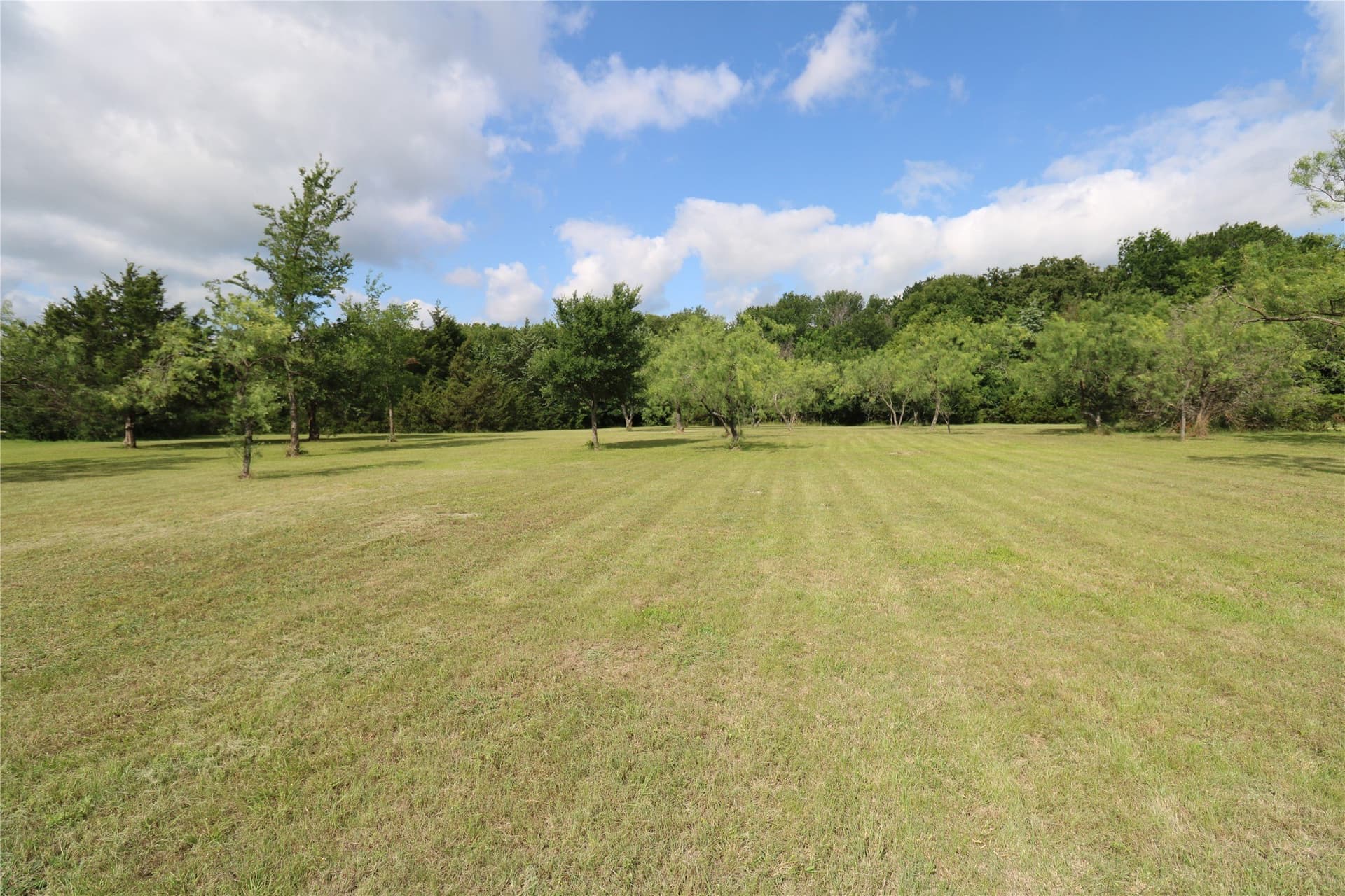 2 acres in Rockwall County gallery image 4