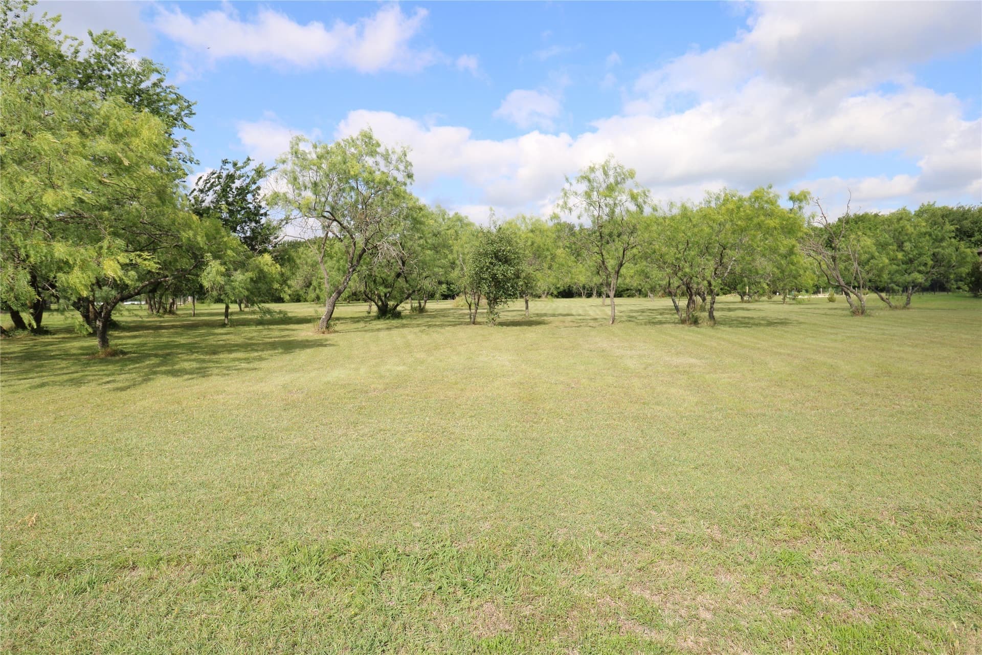 2 acres in Rockwall County gallery image 2