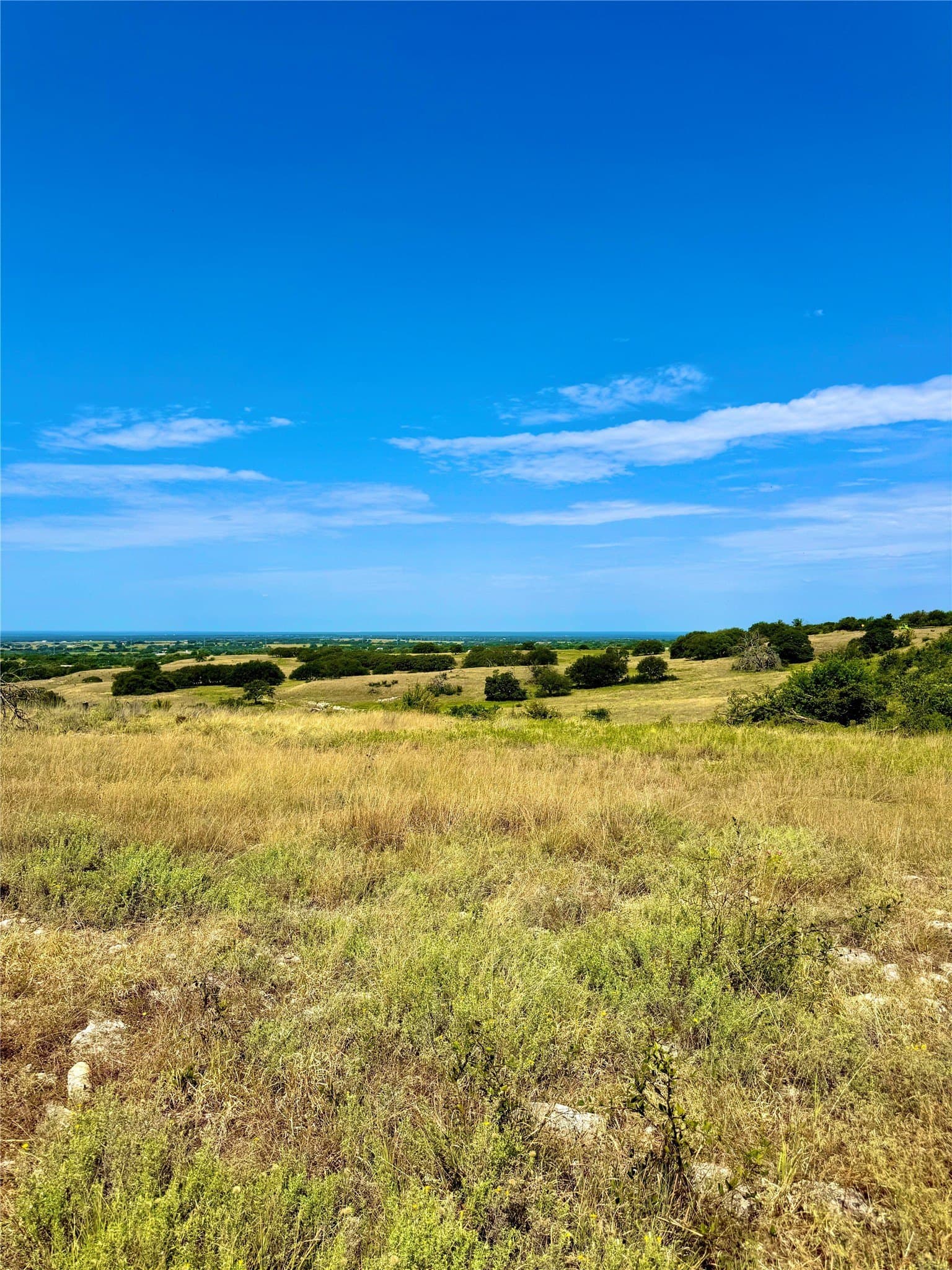 20 acres in Mills County gallery image 2