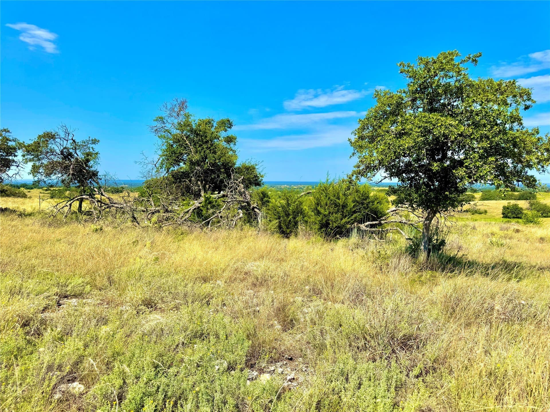 20 acres in Mills County gallery image 3