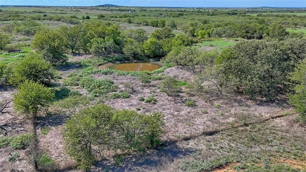 20.06 acres in Montague County gallery image 2