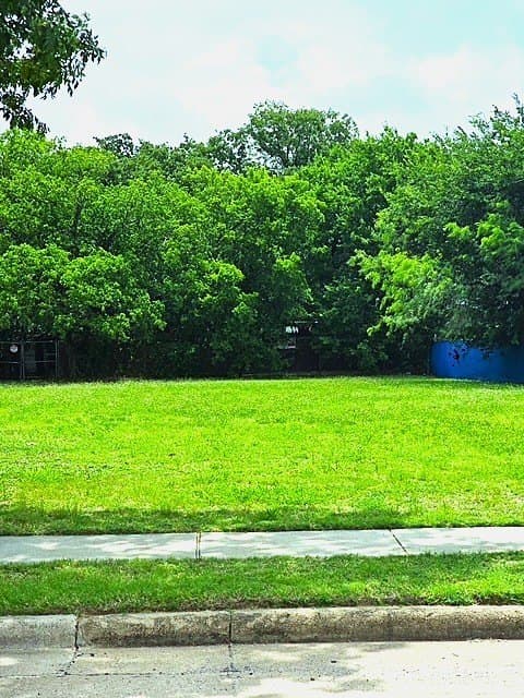 0.34 acres in Dallas County gallery image 3