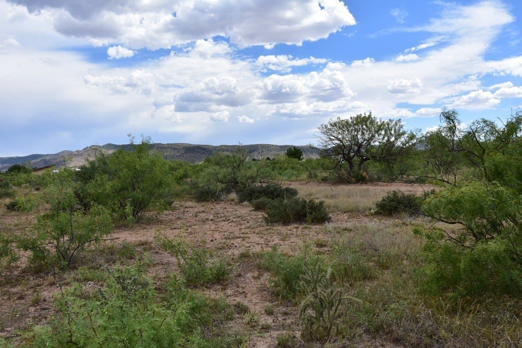 1 acres in Brewster County - photo 4