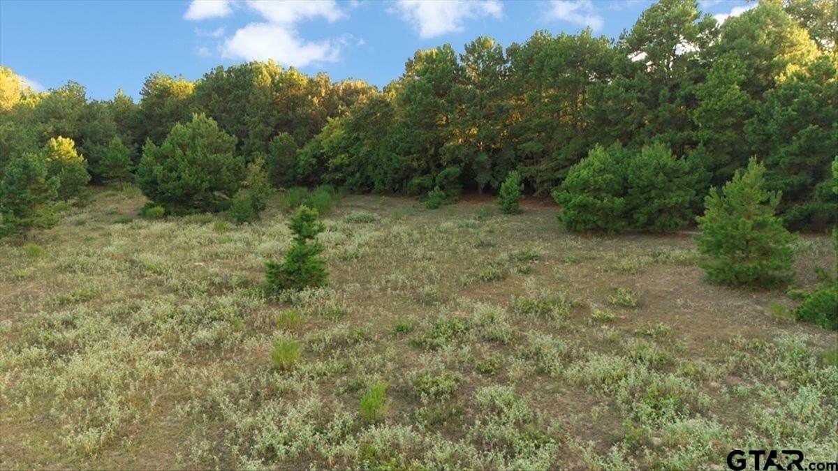 36.21 acres in Henderson County - photo 3