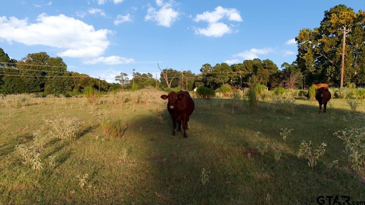 36.21 acres in Henderson County - photo 2