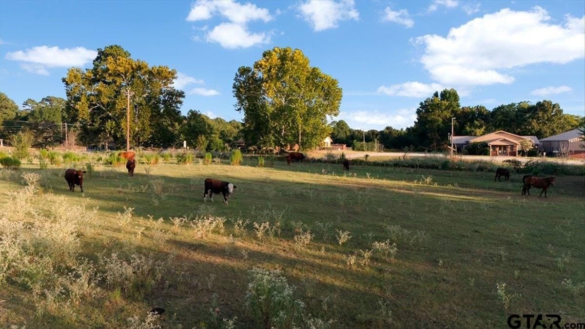 36.21 acres in Henderson County - photo 6