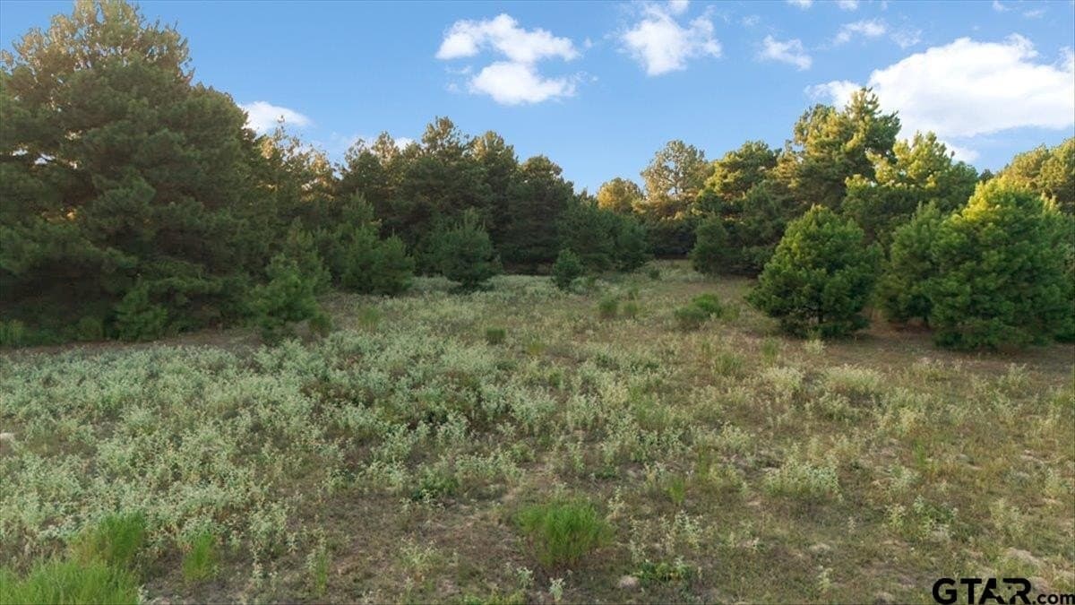 36.21 acres in Henderson County - photo 7