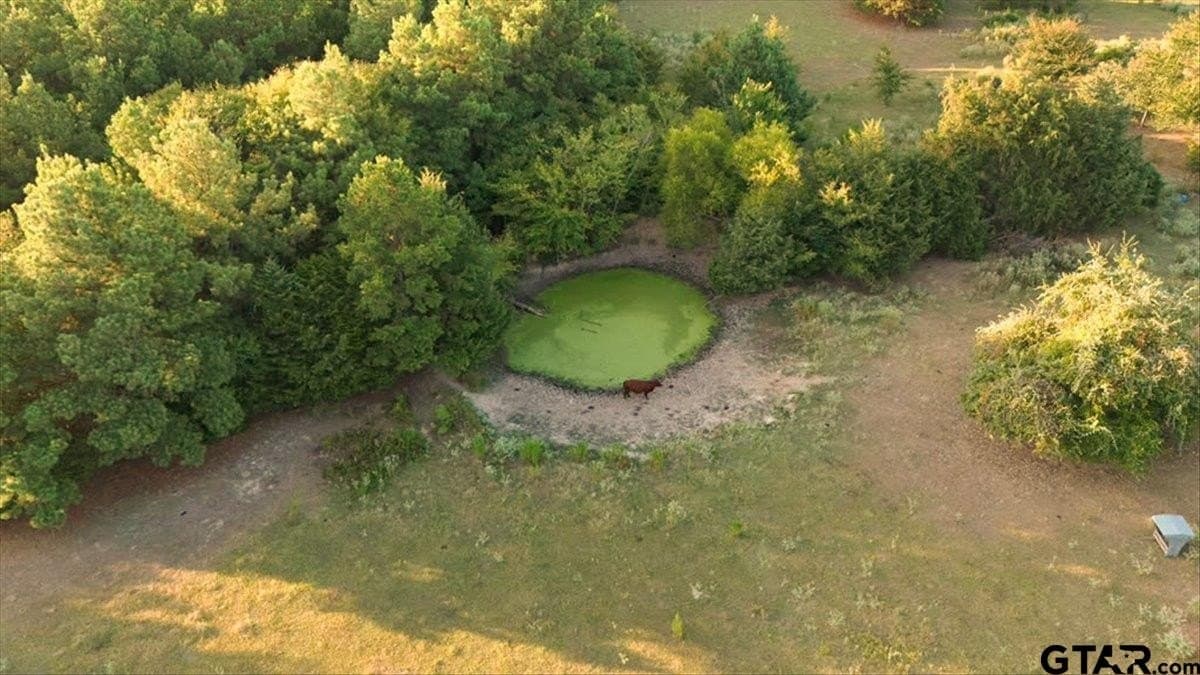 36.21 acres in Henderson County - photo 5