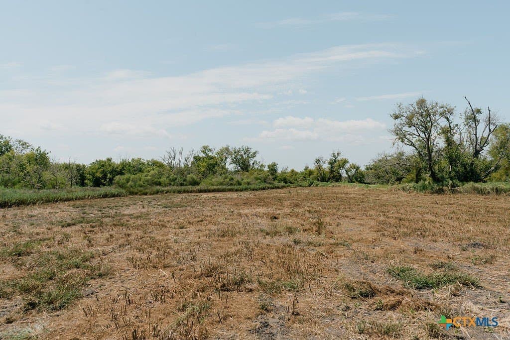 20.55 acres in Calhoun County - photo 3