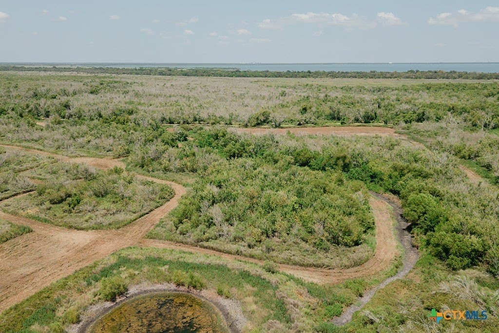 20.55 acres in Calhoun County - photo 4
