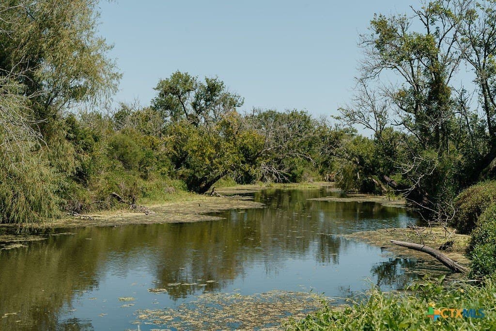 20.55 acres in Calhoun County - photo 5