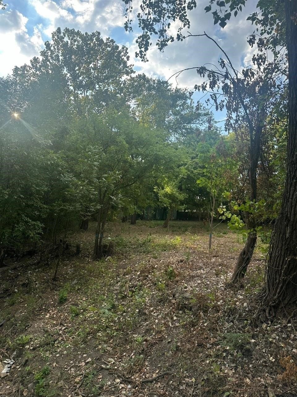 0.77 acres in Dallas County gallery image 4