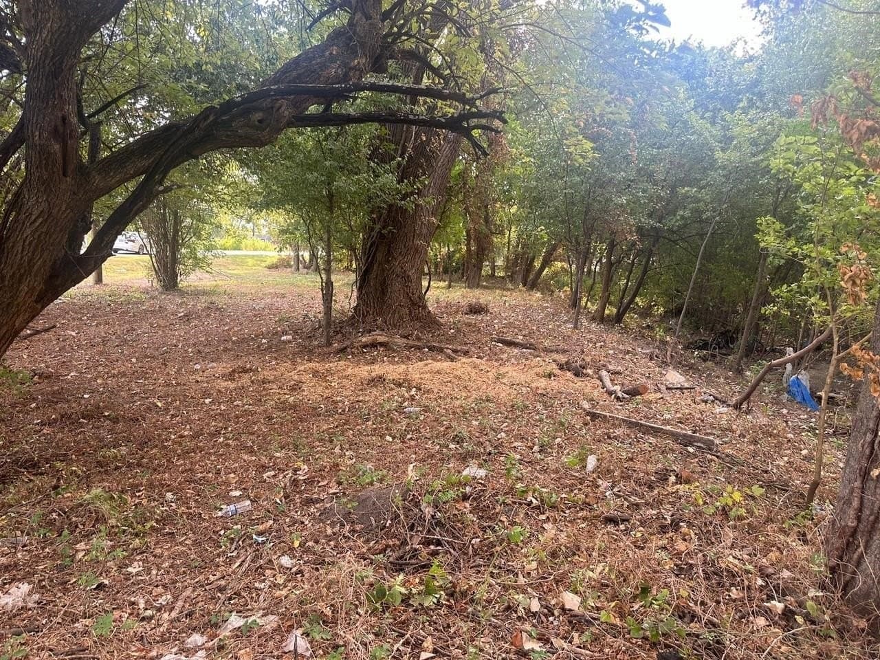 0.77 acres in Dallas County - photo 12