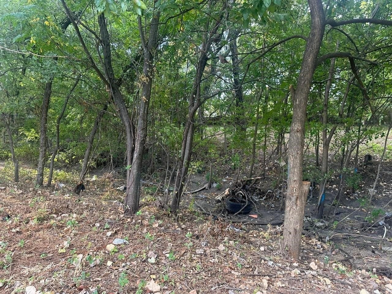 0.77 acres in Dallas County - photo 14