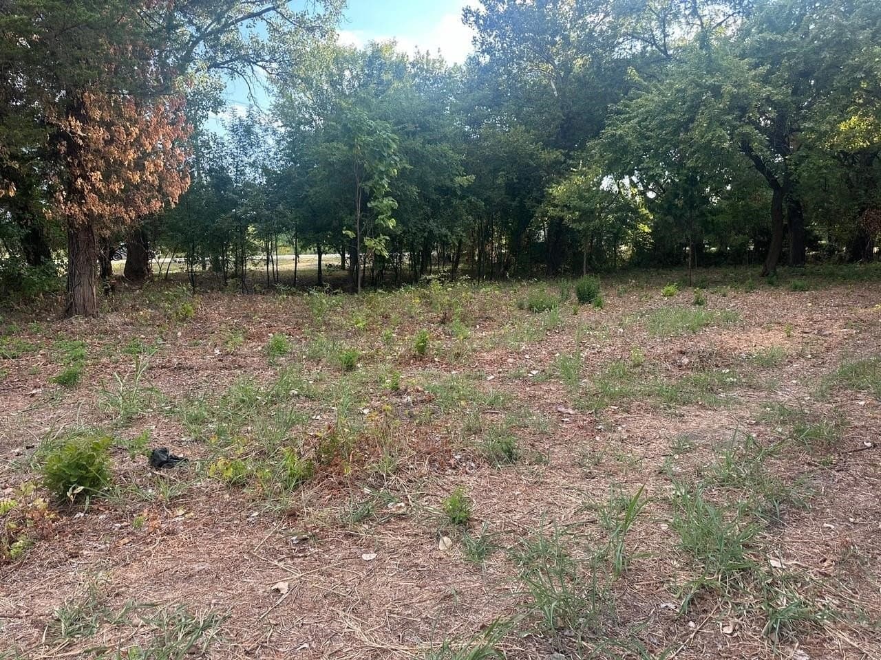 0.77 acres in Dallas County - photo 6