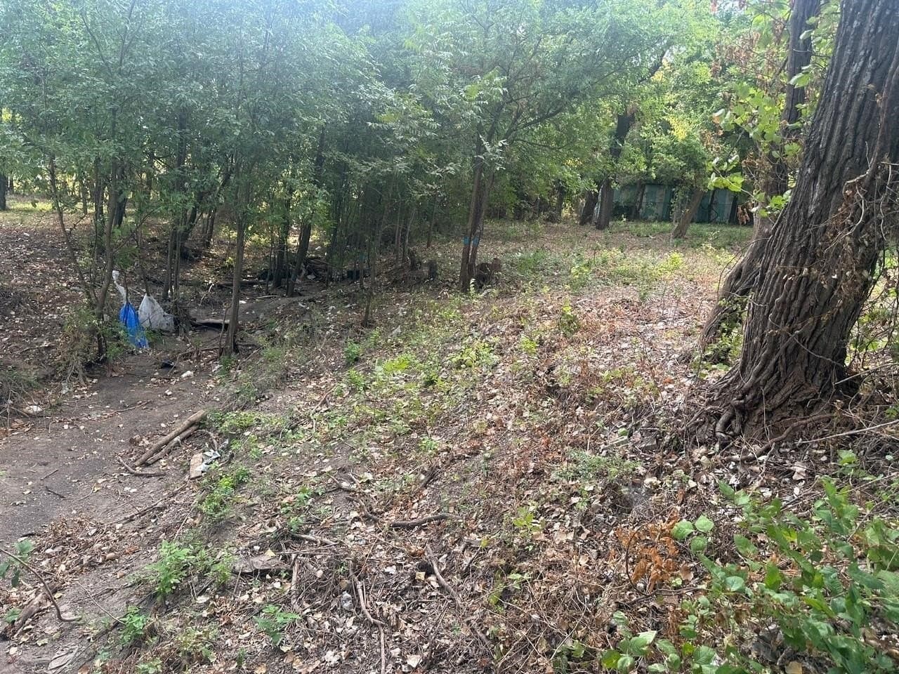 0.77 acres in Dallas County - photo 11