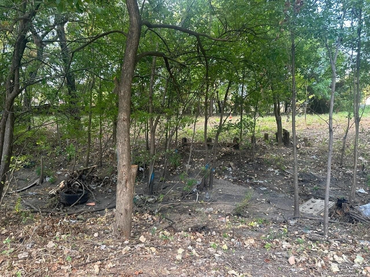 0.77 acres in Dallas County - photo 15
