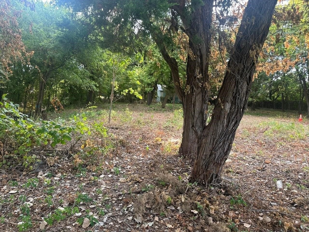 0.77 acres in Dallas County - photo 10
