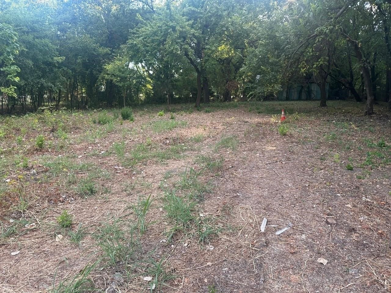 0.77 acres in Dallas County - photo 7