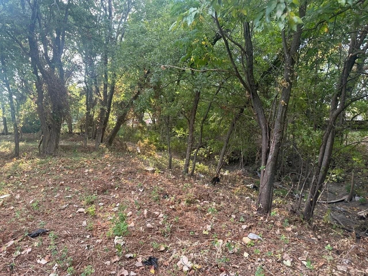 0.77 acres in Dallas County - photo 13