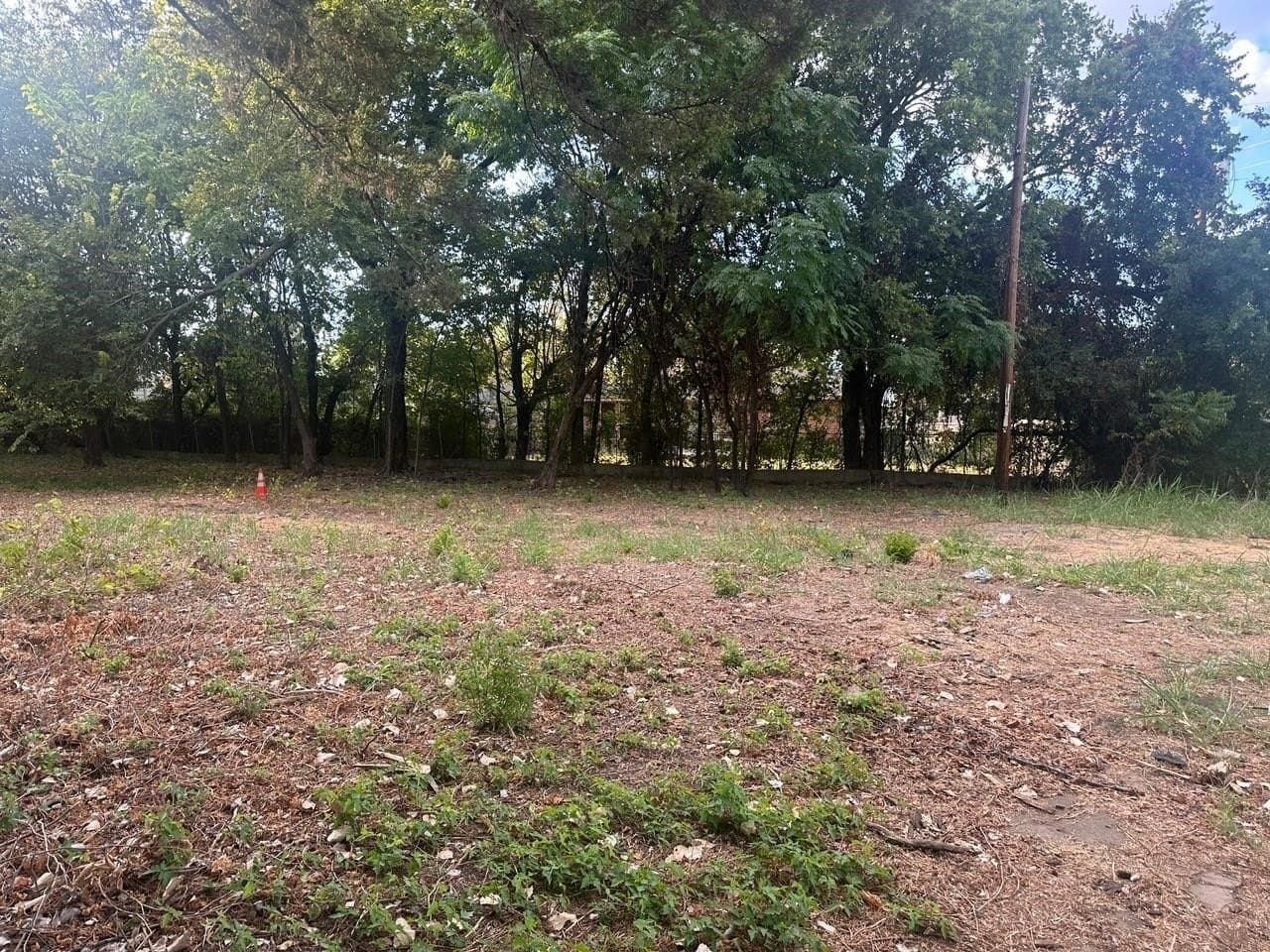 0.77 acres in Dallas County - photo 9