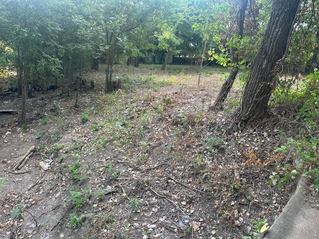 0.77 acres in Dallas County gallery image 2