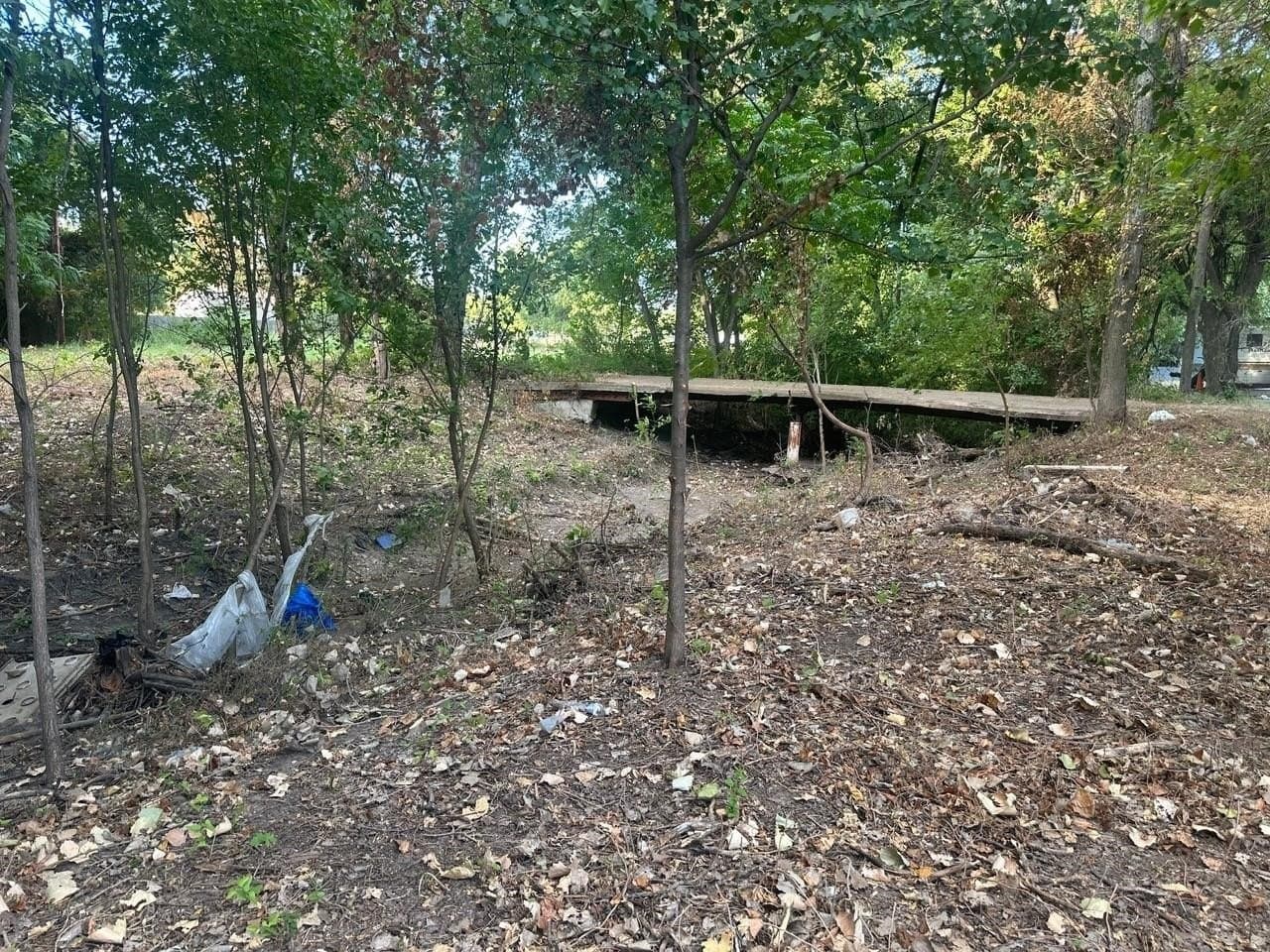 0.77 acres in Dallas County - photo 16