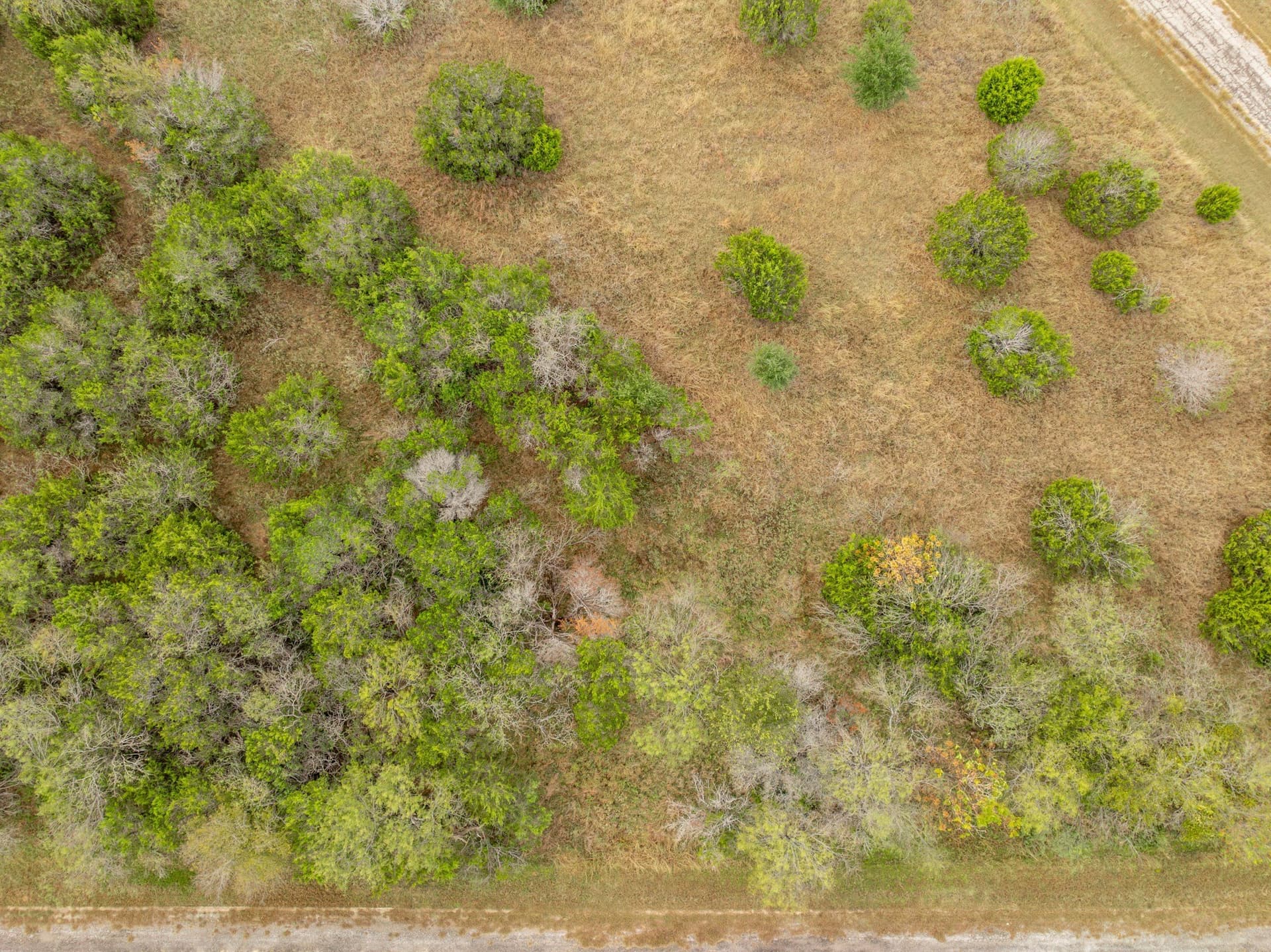 0.13 acres in Hill County - photo 6