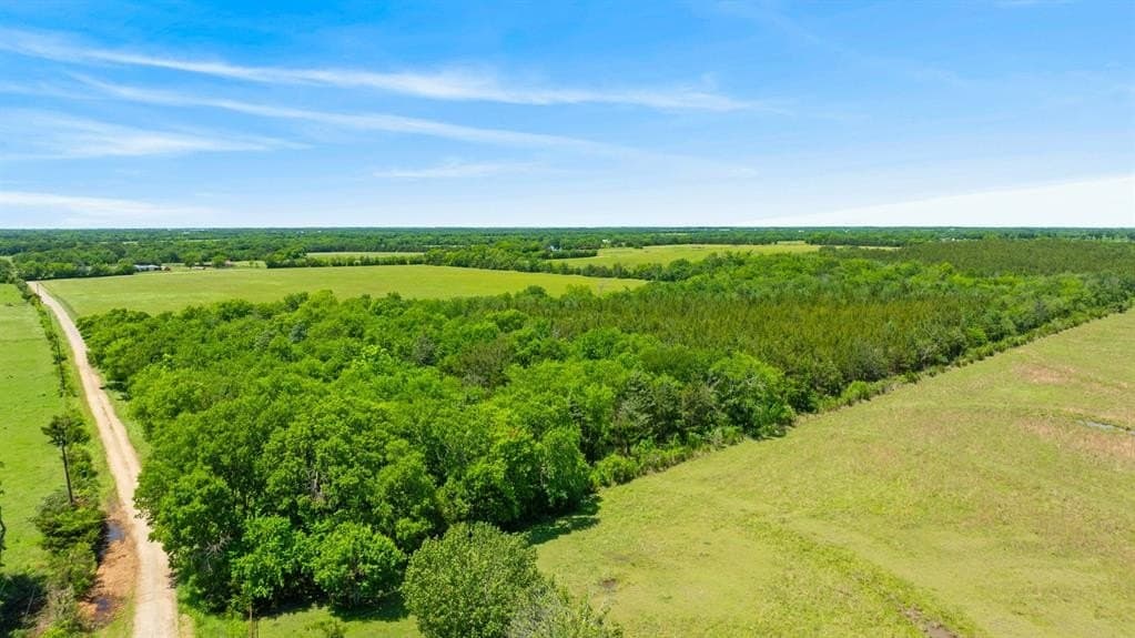 14.69 acres in Lamar County featured view