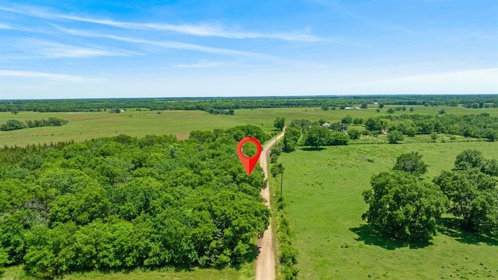 14.69 acres in Lamar County gallery image 3
