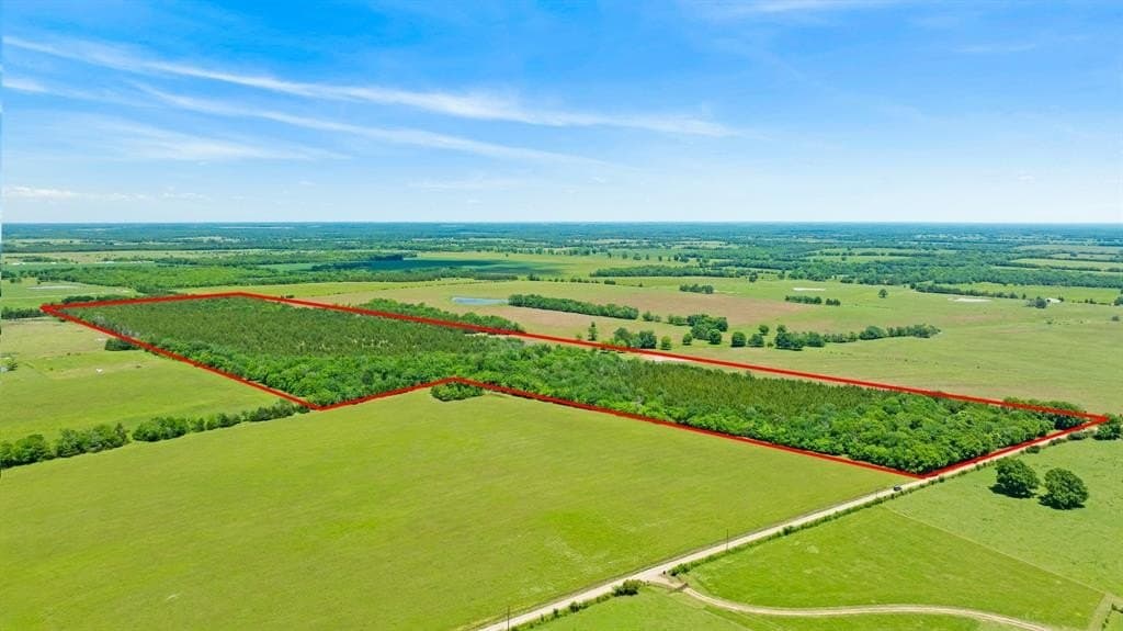 14.69 acres in Lamar County