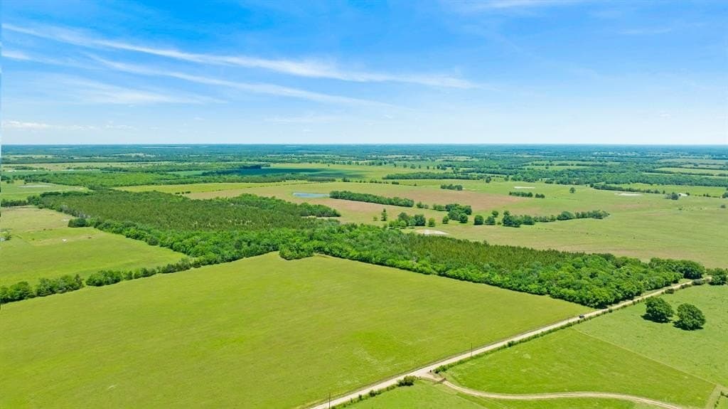 14.69 acres in Lamar County gallery image 2