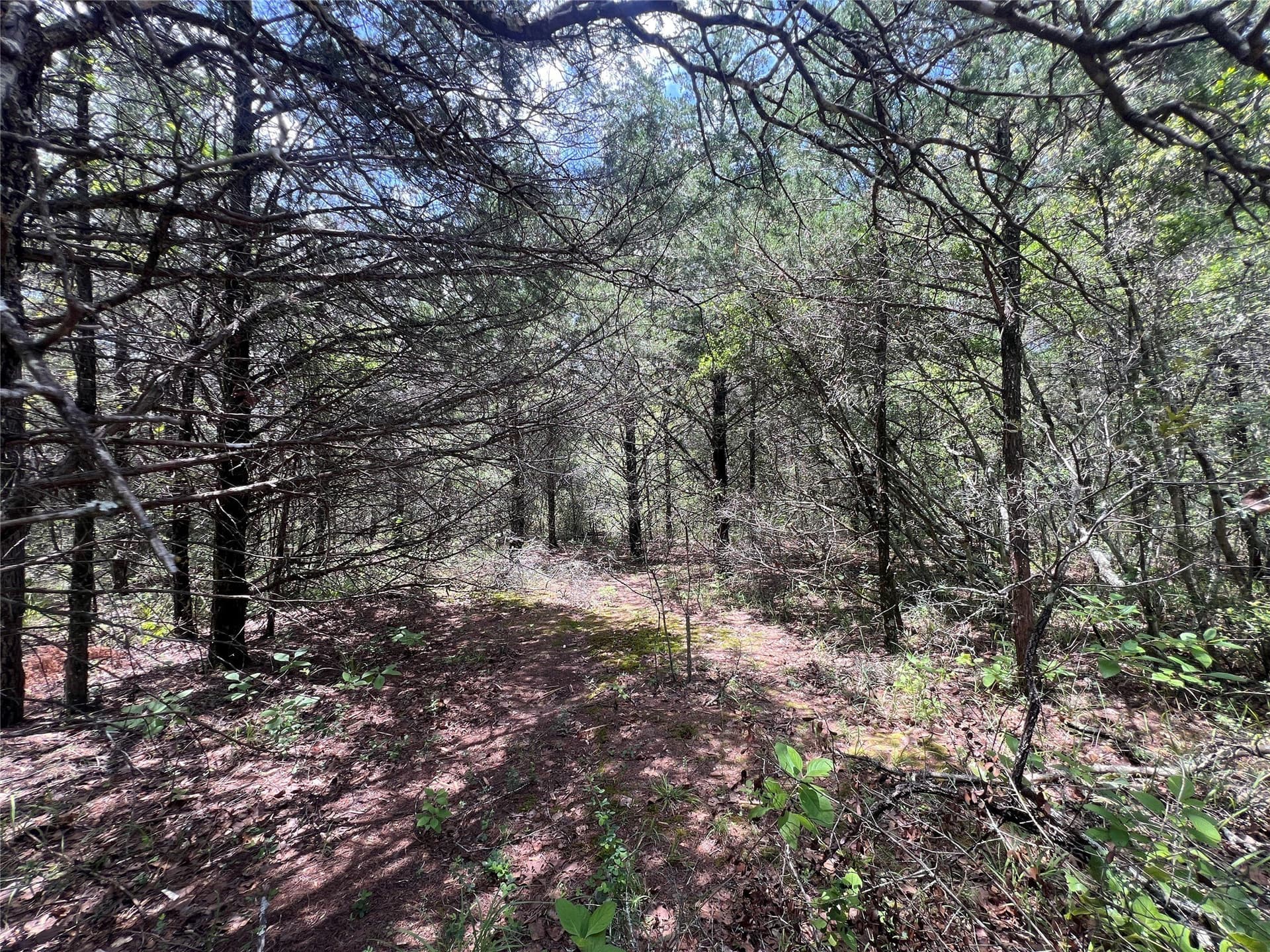 4.81 acres in Burleson County - photo 12